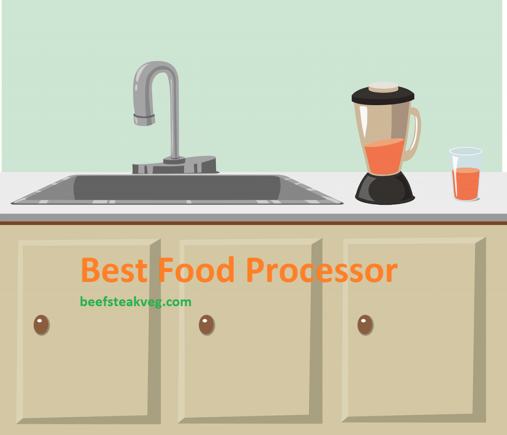 Best Food Processor America's Test Kitchen