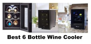 Best 6 Bottle Wine Cooler